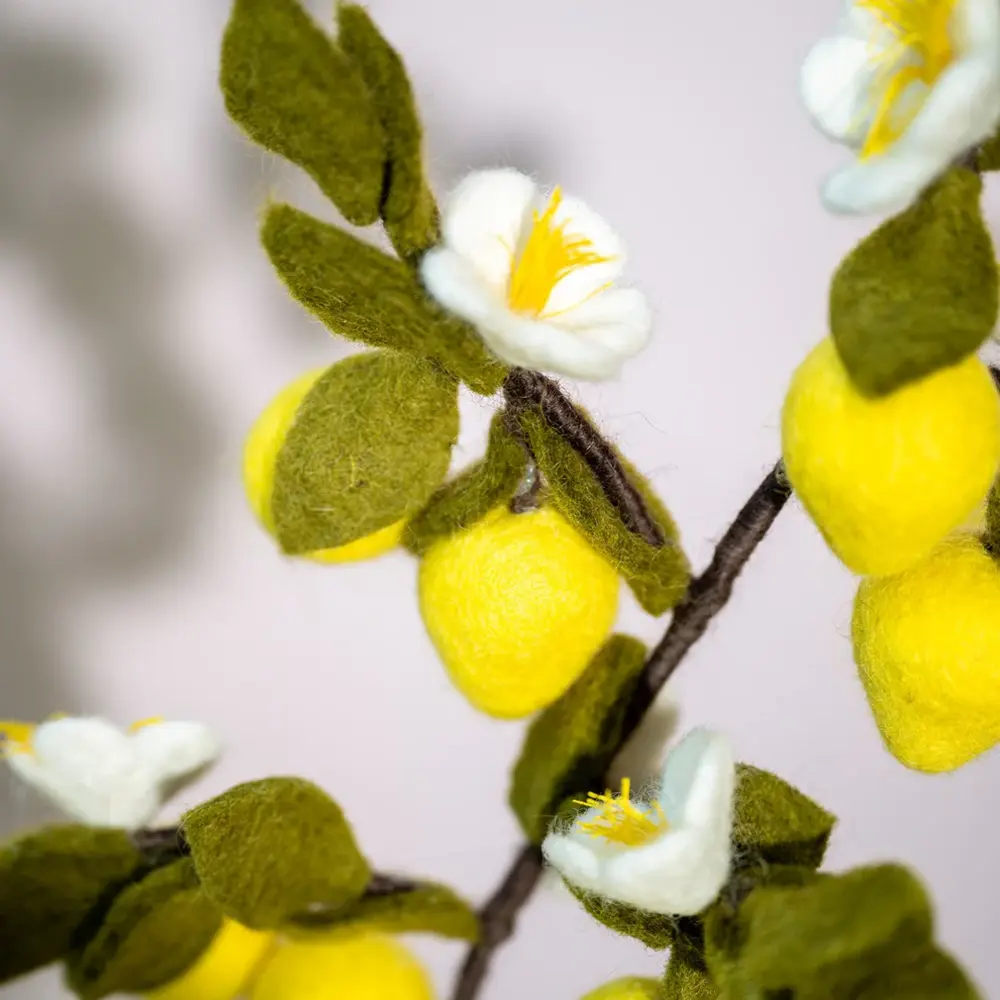Sjaal met verhaal Sjaal met verhaal - tak - citroen