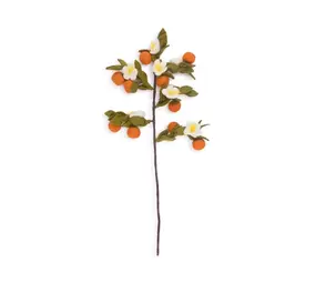 Sjaal met verhaal Sjaal met verhaal - tak - sinaasappel