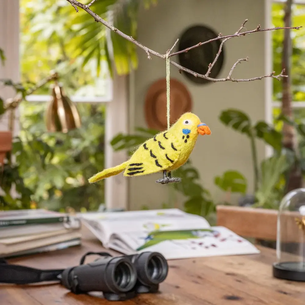 Sjaal met verhaal Sjaal met verhaal - hanger vogel - grasparkiet