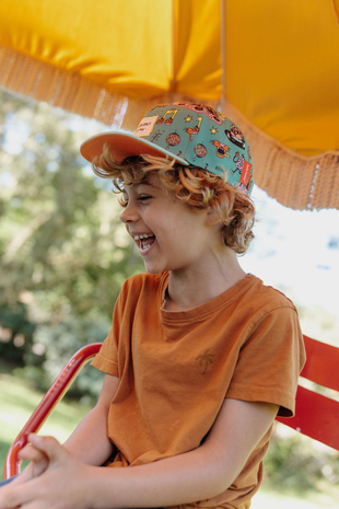 Hello Hossy Hello Hossy - pet - disco roar