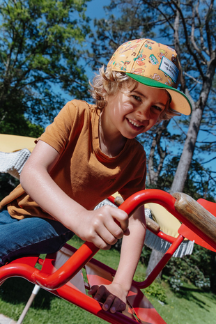 Hello Hossy Hello Hossy - pet - music festival