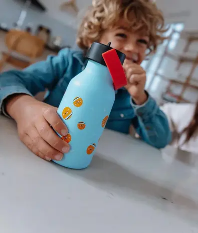 Hello Hossy Hello Hossy - rvs drinkfles (350 ml) - bball crew