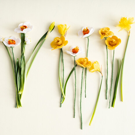 Aveva Design Aveva design - bloem vilt - daffodil raspberry Aveva Design Aveva design - bloem vilt - daffodil raspberry