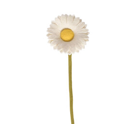 Aveva Design Aveva design - bloem vilt - daisy large