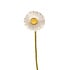 Aveva design - bloem vilt - daisy large