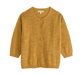 Seasalt Seasalt - pentire steps cardigan - tansy