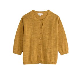 Seasalt Seasalt - pentire steps cardigan - tansy