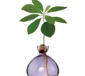 Ilex Studio Ilex Studio - avocado vase - spring lilac