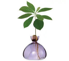 Ilex Studio Ilex Studio - avocado vase - spring lilac Ilex Studio Ilex Studio - avocado vase - spring lilac