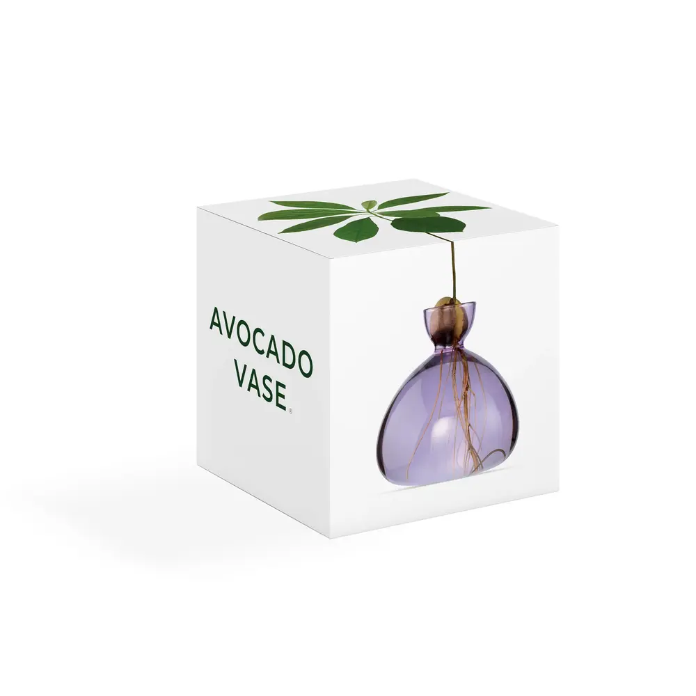 Ilex Studio Ilex Studio - avocado vase - spring lilac Ilex Studio Ilex Studio - avocado vase - spring lilac