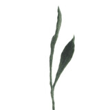 Aveva Design Aveva design - tak vilt - bladeren