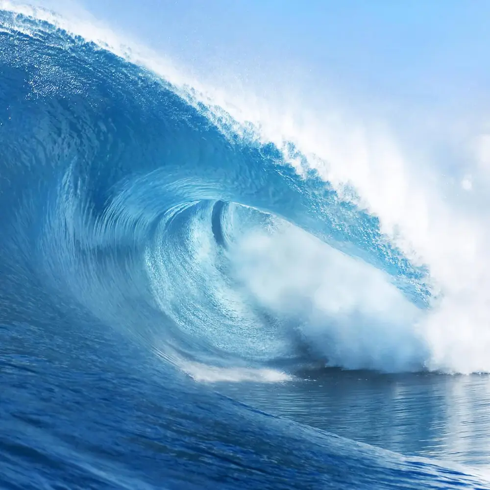 Dutch soap company Dutch soap company - handzeep - pacific ocean blue (100 gr)