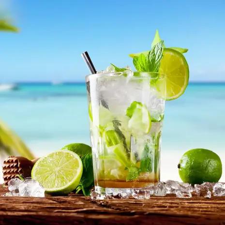 Dutch soap company Dutch soap company - cream soap - mojito (100 gr)