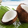 Dutch soap company Dutch soap company - handzeep - tropical island coconut (100 gr)