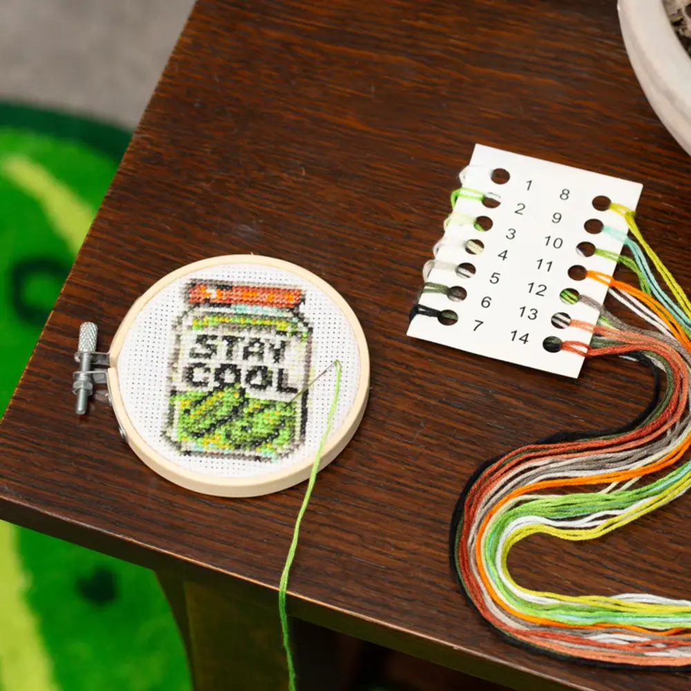 Kikkerland Kikkerland - borduur kit - pickle