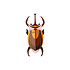 Studio Roof - muurdecoratie - elephant beetle