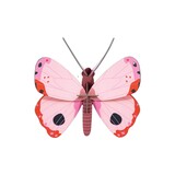 Studio Roof Studio Roof - muurdecoratie - rosora butterfly