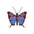 Studio Roof - muurdecoratie - crysalus butterfly Studio Roof - muurdecoratie - crysalus butterfly