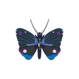 Studio Roof Studio Roof - muurdecoratie - blue diadem butterfly Studio Roof Studio Roof - muurdecoratie - blue diadem butterfly