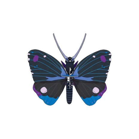 Studio Roof Studio Roof - muurdecoratie - blue diadem butterfly
