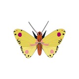 Studio Roof Studio Roof - muurdecoratie - luzerne butterfly