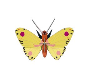 Studio Roof Studio Roof - muurdecoratie - luzerne butterfly