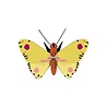 Studio Roof Studio Roof - muurdecoratie - luzerne butterfly