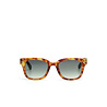 Okkia Okkia - zonnebril - johnny soft touch - sahara havana