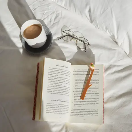 Balvi Balvi - boekenlegger - birdie pink