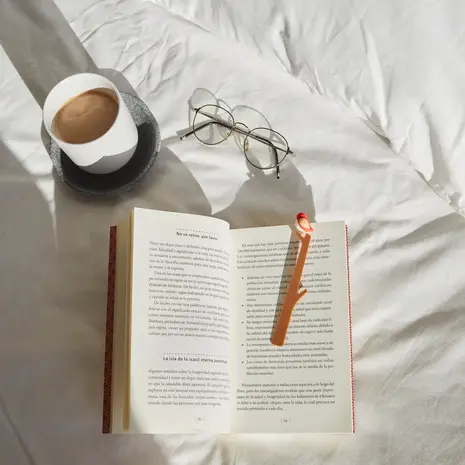 Balvi Balvi - boekenlegger - birdie red