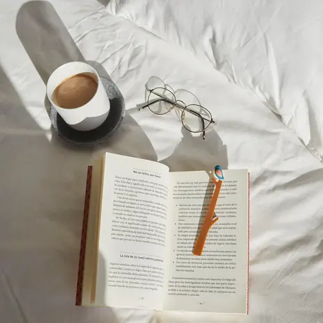 Balvi Balvi - boekenlegger - birdie blue