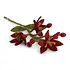 Gry & sif - bloem nova flower - dark red