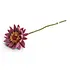 Gry & sif - bloem gerbera - light purple
