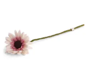 Gry & Sif Gry & sif - bloem gerbera - white
