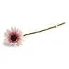 Gry & Sif Gry & sif - bloem gerbera - white