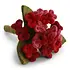 Gry & sif - bloem hortensia klein - dark red