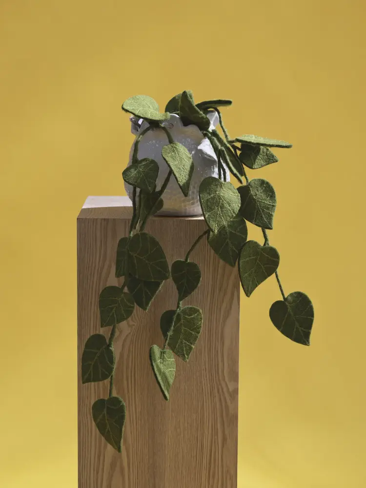 Gry & Sif Gry & sif - tak - succulent