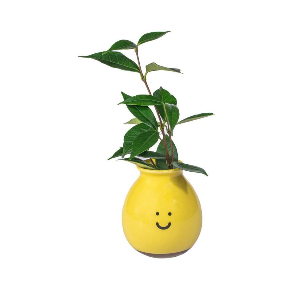 Sass & Belle Sass & belle - vaas - happy