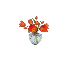 Flatflowers Flat flowers - ansichtkaart raamsticker - tulp oranje blauwe vaas (15 x 15 cm)