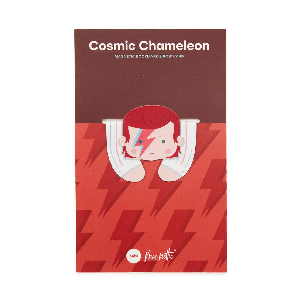 Macnettic Macnettic - magnetische boekenlegger - cosmic chameleon