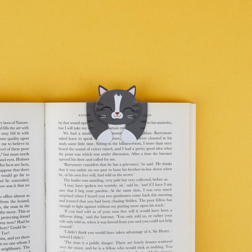 Macnettic Macnettic - magnetische boekenlegger - kitty