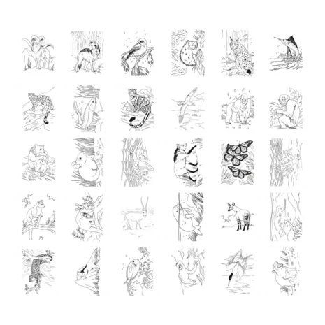 Kidywolf Kidywolf - kidydraw-pad - animals (8+)