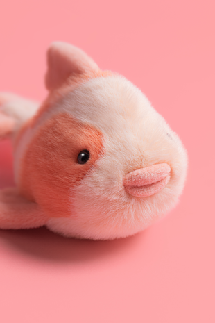 Jellycat Jellycat - knuffel vis - fancy carp Jellycat Jellycat - knuffel vis - fancy carp