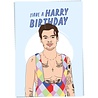 Kaart Blanche Kaart blanche - wenskaart - harry birthday