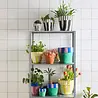 Aveva Design Aveva design - bloempot vilt S - zebra Aveva Design Aveva design - bloempot vilt S - zebra