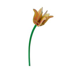 Studio Roof Studio Roof - decoratie bloemen - yellow tulip