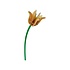 Studio Roof - decoratie bloemen - yellow tulip Studio Roof - decoratie bloemen - yellow tulip