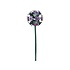 Studio Roof - decoratie bloemen - allium Studio Roof - decoratie bloemen - allium