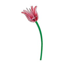 Studio Roof Studio Roof - decoratie bloemen - pink tulip Studio Roof Studio Roof - decoratie bloemen - pink tulip