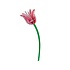 Studio Roof - decoratie bloemen - pink tulip Studio Roof - decoratie bloemen - pink tulip